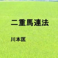 競馬商材レビュー 二重馬連法