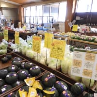 北に向かって・ちょこっとお出かけ（９日目）無事帰宅
