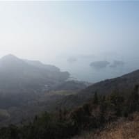 館山（今治大島）