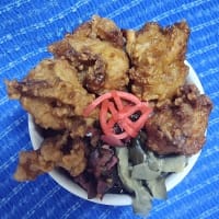 【06/05晩御飯】生命鶏唐揚げ、これから眼科に出掛ける準備をするんだね：D