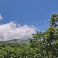 尾瀬アヤメ平 ワタスゲ祭り