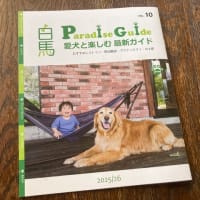 貧乏ヒマなし