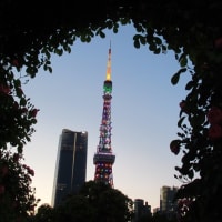 虹色の塔
