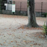 風が吹いたら