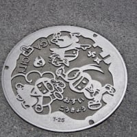 三重県伊賀市、馬場「阿山小学校（河合小学校）のセンダン」（市指定）です！！