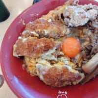 なか卯（９６）牛あいがけカツ丼