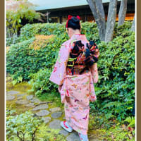 娘と一緒にお茶会に参しました（別誂え・桜色地橘に扇柄一つ紋付付下げ）