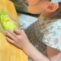 朝ご飯とメロンが食べ頃になりました！