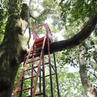 鹿児島県霧島アートの森