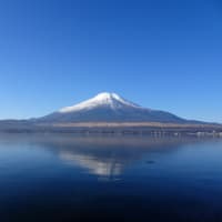 お祝いを記念して富士山巡りとさがみ湖イルミネーションの旅！