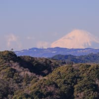 【千葉県大多喜町の「三条大塚山」から富士山の眺め】