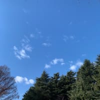散歩　12 月27日