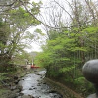 静岡・修善寺温泉・・・日本風情を残す昭和の温泉街・・・射的、スマートボール、ボットル？