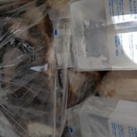 約30年ぶりの船釣りカレイは大漁