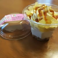 ７－１１でかったやつ
