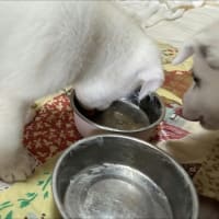 やっと気づいたかい！