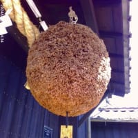 藤見日和　第2部（＾０＾）V
