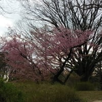 四十九日法要