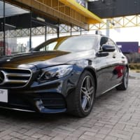 Ｗ２１３パナメリカーナグリル取付