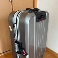 そこまで大きくなかった