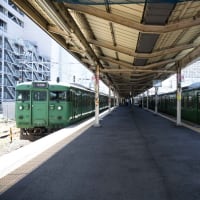 桜の瀬田川を行く名残りの緑の電車（１１７，１１３系）