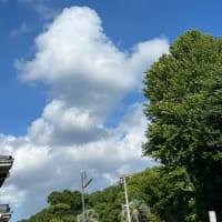 ＜2025.06.28＞　１７年分のBlogのプリント終わりに近づいた