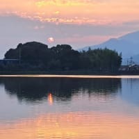 朝の散歩　平池緑地公園　56　6.26～28