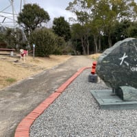 徳島旅行⑥家路へ