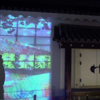  ライトアップ「NAKED 桜まつり 2024 世界遺産・二条城」