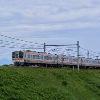 311系（G1＋G11）