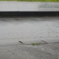 前に降ったのは何時だったかな