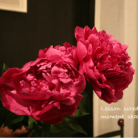 Lesson   schedule  ５月