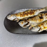海へ注ぐ渓流②