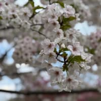 幸せ時間