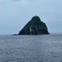 ミューシュの場所探し