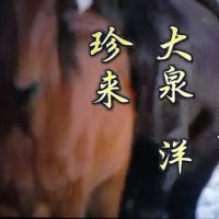 新作どうでしょう【5夜】【6夜】