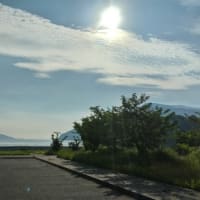 今日は