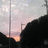 ひっそりと更新再開