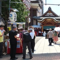 入谷朝顔まつり（朝顔市）