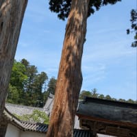 今日いち-2025年6月16日