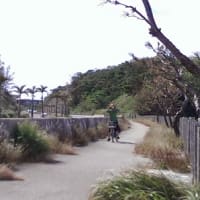 沖縄自転車チャレンジ（5）　北谷→喜瀬へ