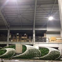 お別れ会用、花祭壇製作、今日はここまで。