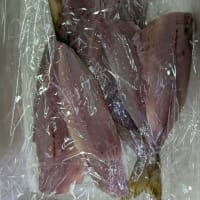 三度、デカ鯵釣りに…
