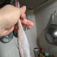 12月のご無沙汰。