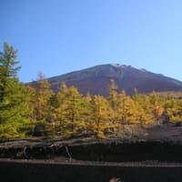 富士山の紅葉