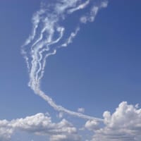 今日は伊丹空港で見学・・・