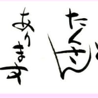 2013新年
