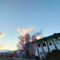 はてなブログ