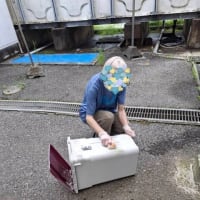 ごみゼロ運動を行いました