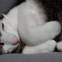 ぬくもり